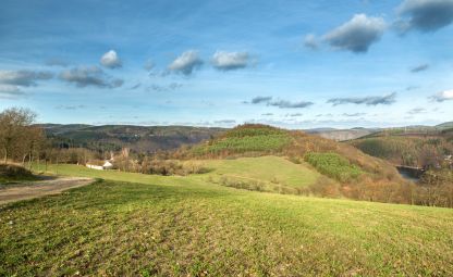 Keltisches Oppidum Hrazany