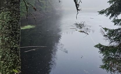 Jelení jezírko (Hirschsee)