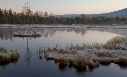 Chalupská moors