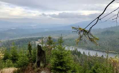 Berg Plechý (Plöckenstein)