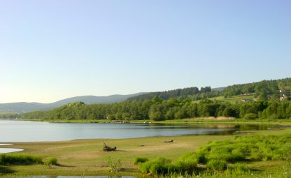 Pond Olšina