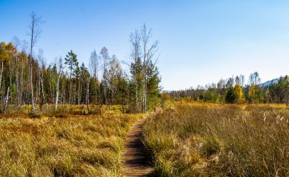 Soumarské Peat Bogs