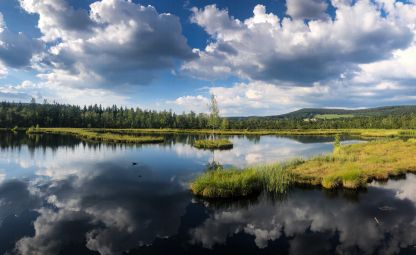 Chalupská moors