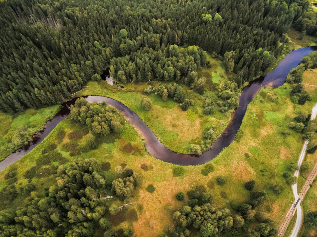 Auf dem Fluss Soumarský most (Saumerbrücke) Nová Pec 〰 Fluss Vltava