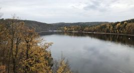 Einen schönen Tag euch allen 💕 Wir sind in der Mitte einer…