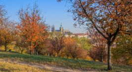Prag in Ihrer Handfläche💕 Der Aussichtsturm Petřín, der vom…