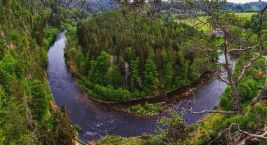 🌲 Viewpoint over the Vltava at Dívčí Kámen
Want to see the…