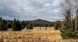 In Stožec im Nationalpark Böhmerwald werden Sie sich nicht…