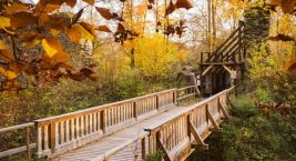 🍁 An Autumn Walk to Karlův Hrádek – where the river and…