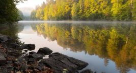 🍂 Autumn by the Vltava: when the river quiets down and the…