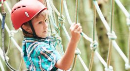 In Zadov you can literally get right into the tree tops. …