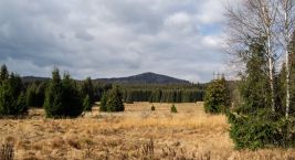 In Stožec im Nationalpark Böhmerwald werden Sie sich nicht…