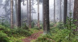 Es ist immer noch Zeit für eine schöne Wanderung 👣 Zum…