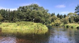 💧 Where the Vltava is born...
At an altitude of 731 metres,…