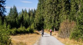 🚴 Stage 1: From the Source of the Vltava to Nová Pec
…